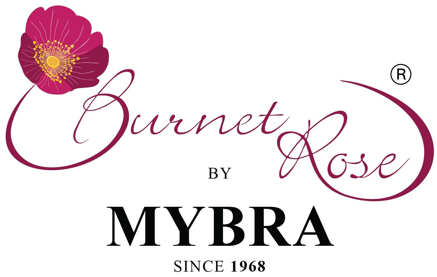Home Burnet Rose